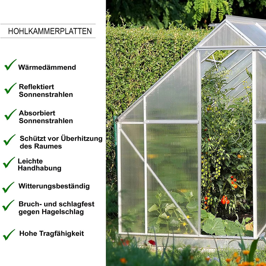 FLOORDIREKT Polycarbonat Doppelstegplatte Hohlkammerplatte Transparent B: 60,5 cm, B: 125,0 cm, UV-beständig und wetterfest für Gewächshaus, Frühbeet oder Terrassendach - Bild 3