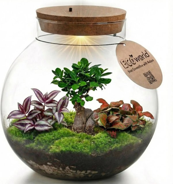 Vdvelde Biodome Bonsai Terrarium Pflanzensystem aus Glas, transparent, Durchmesser: 25 cm - Bild 1