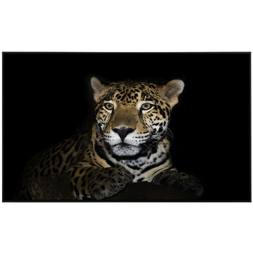papermoon Infrarotheizung EcoHeat Leopard mit Matt-Effekt in Bunt, 600 W, mit App-Steuerung und Überhitzungsschutz - Bild 2