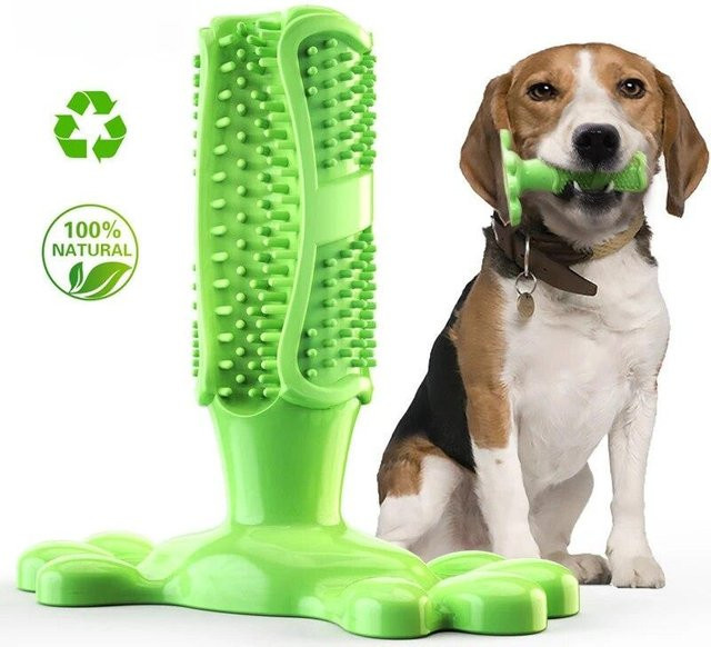 NATAWA Kleines Hundespielzeug, bissfest, Zähneknirschen, Kaugummispielzeug, Hundezahnbürste, Zubehör für Welpen, Hundezähne, Mundreinigungsspielzeug grün - Bild 1