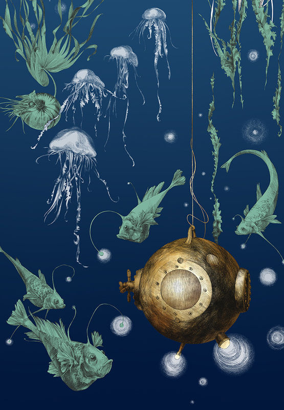 Edmond Petit Meeres-Tapete Nautilus droit in Marineblau - Bild 2
