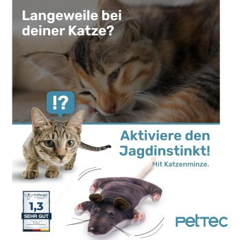 PetTec Ratte, interaktives Plüschtier für Katzen - Bild 2