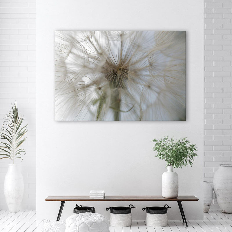 Feeby Leinwand Pusteblume Makroaufnahme Floral Beige Weiß B: 60 cm, H: 40 cm - Bild 1
