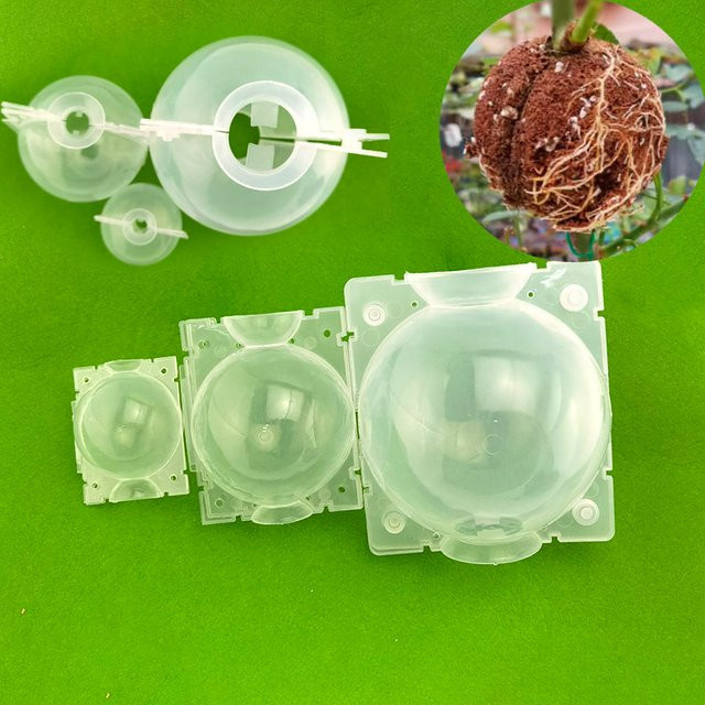 Transparente Hochdruck-Vermehrungsanlage zur Wurzelbildung und Pflanzenzucht, B/H: 12 x 5 cm - Bild 1
