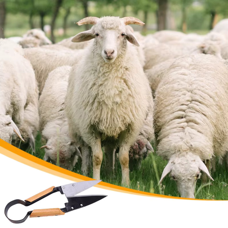 TOTNEND 13-Zoll Ergonomische Gartenschere für Zwiebeln, Schafe und Wollpflege - Bild 3