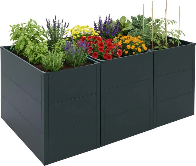 3er-Set MCW Metallhochbeet P64 für Gemüse und Blumen, Farbe: Grün, H x B x T: 100 x 77 x 150 cm - Bild 1