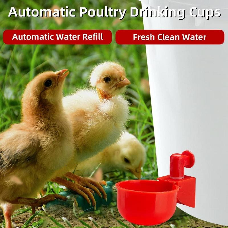 Automatischer Hühner-Futter- und Wasserspender aus Kunststoff für Geflügel wie Küken, Enten, Gänse und Wachteln - Bild 2