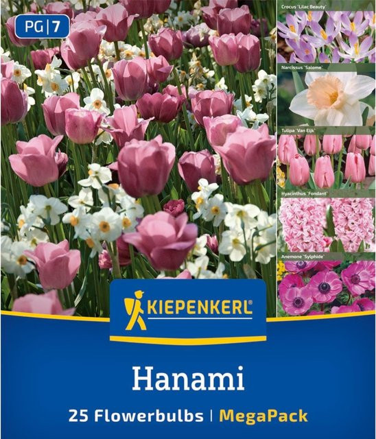 Kiepenkerl Mega Pack Rosy Dream Blumenzwiebeln, 25 Stück, bunt (pink und mehrfarbig) - Bild 1