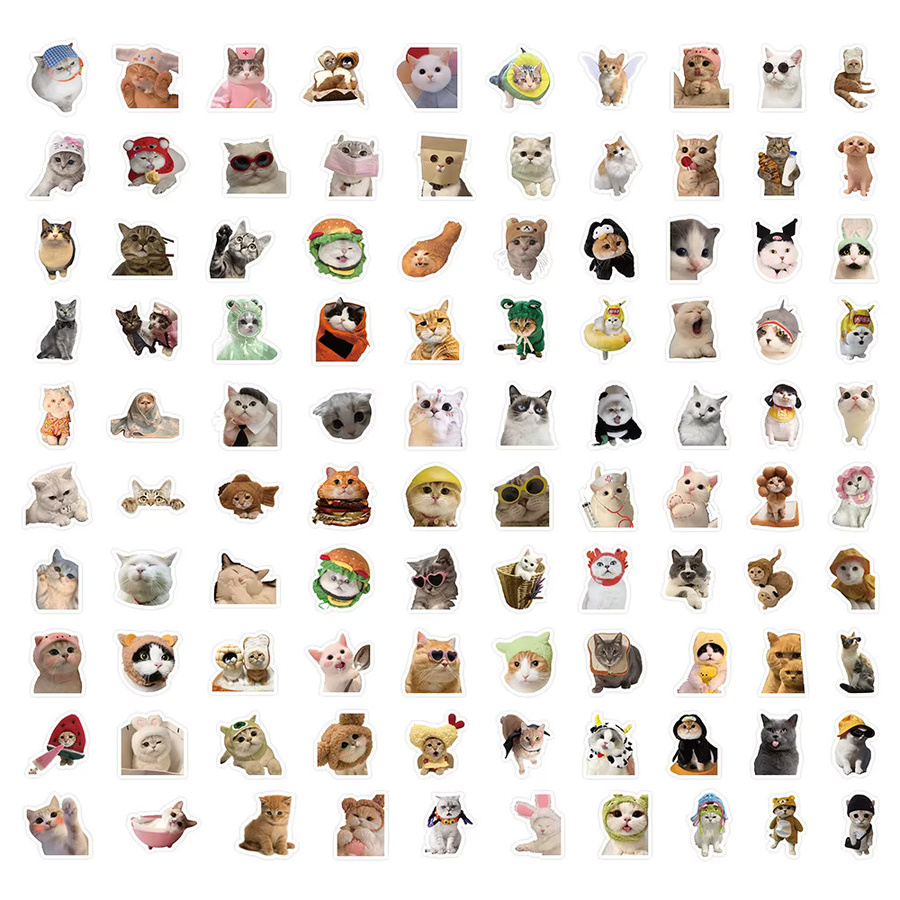 100 Stück realistische Katzen-Fotolaufkleber in Multicolor von RecordingYourLife Store - Bild 3