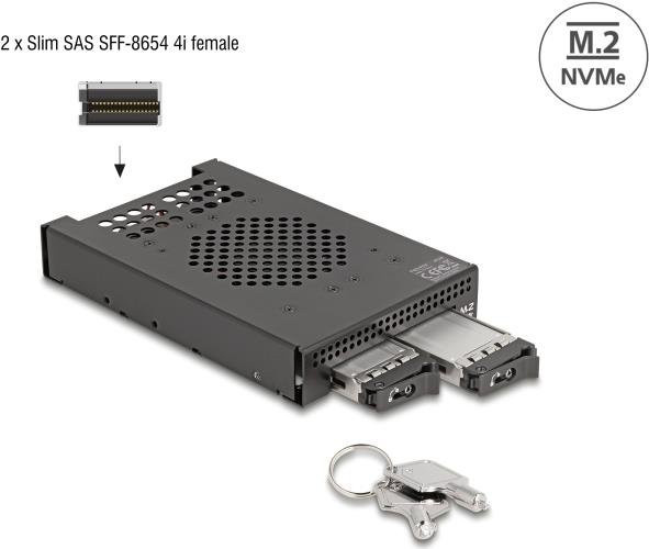 Delock 3.5 Zoll Wechselrahmen für 2 x M.2 NVMe SSD in Schwarz - Bild 2