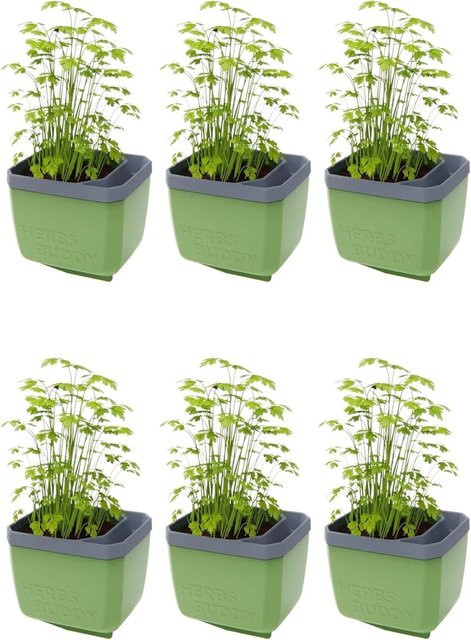 Gusta Garden Herbs Buddy Selbstbewässerungstopf Dunkelgrün 6er Set - Bild 1