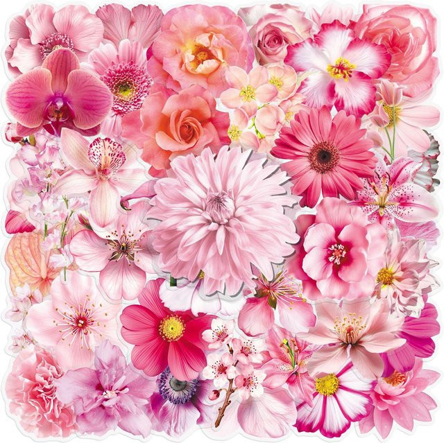 50 Stück Rd lala Florale Kunst Aufkleber aus transparentem PET, Wasserdichte Blumen und Pflanzen Decals für dein DIY Journal und Scrapbook, Multicolour - Bild 1