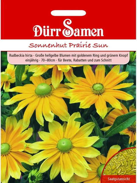 Dürr Sonnenhut Prairie Sun Saatgut für hellgelbe Blüten, einjährig - Bild 1