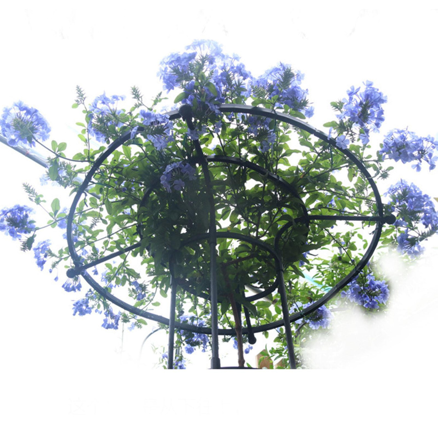 OutsideWorld Pilzkopf-Rankgitter Type 2 Gartengerüst für Kletterpflanzen wie Weinreben, Rosen oder Clematis - Bild 3