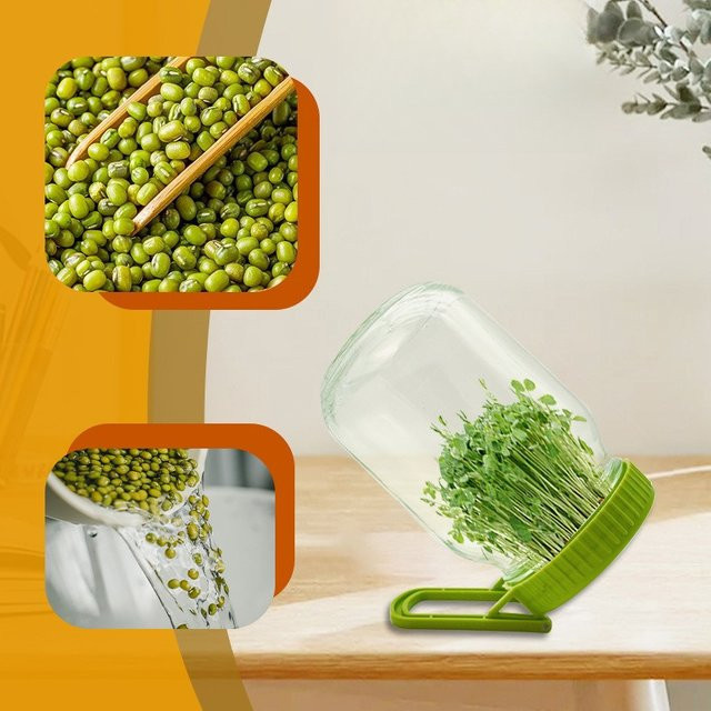 Keimglasdeckel mit Ständer für Samen, Sprossen und Sojasprossen in Grün - Bild 1