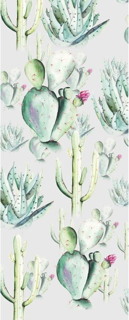 Komar Fototapete Vlies Cactus Grey B: 100 cm, H: 250 cm - Bild 1