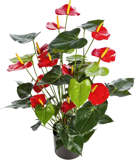 Künstliche Flamingoblume Caspar von Aplanta, Topfpflanze, Höhe: 78 cm - Bild 1