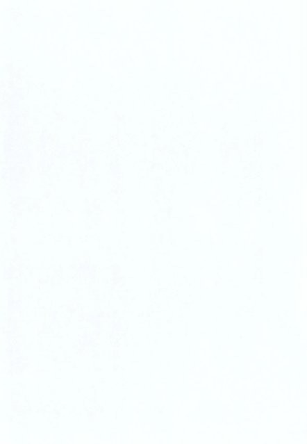 d-c-fix Whiteboardfolie weiß B: 60 cm, H: 120 cm - Bild 1