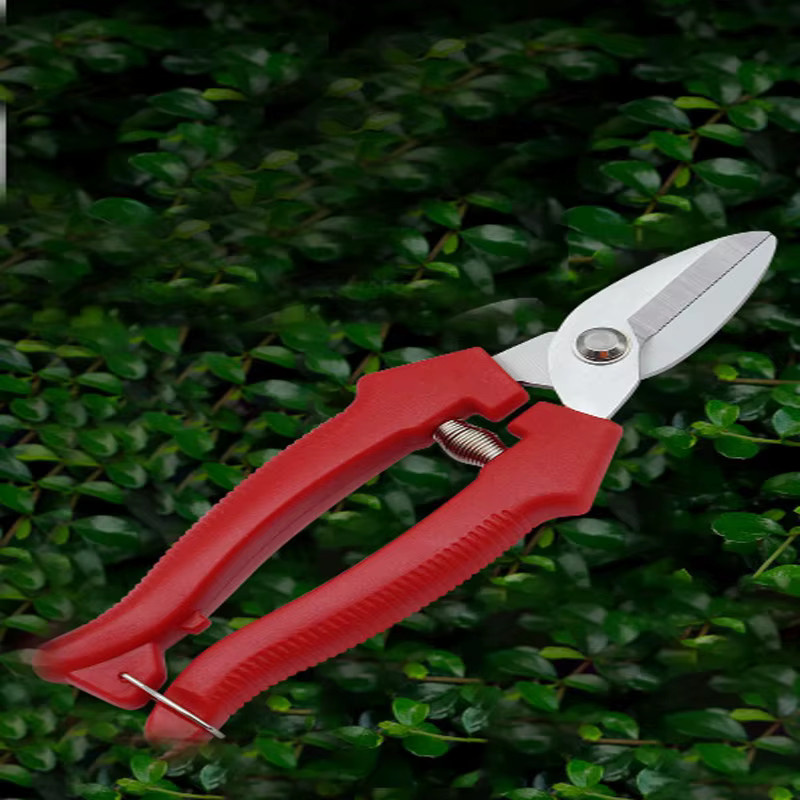 Dobeli Bypass-Gartenschere mit geradem Kopf in Rot aus Edelstahl und Kunststoff mit Sägezahnmesser für Bonsai- und Gartenschnitt - Bild 2