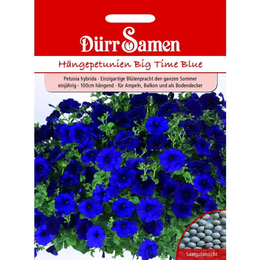 Dürr Samen Petunien Big Time Blue Dunkelblau Einjähriges Saatgut - Bild 2
