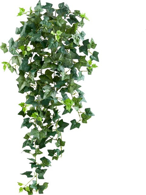 Künstlicher Hänge-Efeu Aplanta Melchior, Grün, Höhe: 80 cm - Bild 1