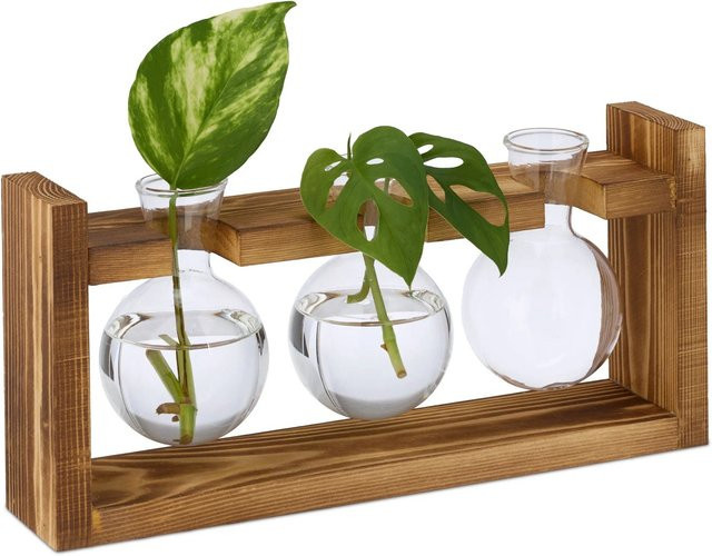 Relaxdays Reagenzglas Vase aus Glas und Kiefernholz in Transparent, B/T/H: 13 x 6,5 x 28 cm - Bild 1