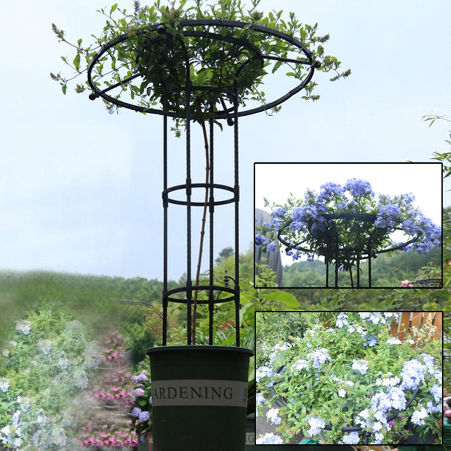 OutsideWorld Pilzkopf-Rankgitter Type 4 Gartengerüst für Kletterpflanzen wie Weinreben, Rosen, Clematis oder Gemüse - Bild 6