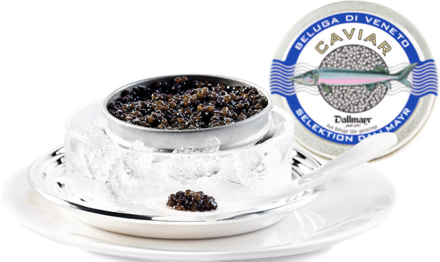 Dallmayr Beluga Caviar 50 g - Bild 1