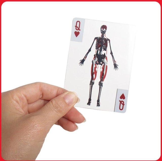 alloet Anatomie-Pokerkarten, Spielkarten, Transparent, Bunt / Mehrfarbig - Bild 1
