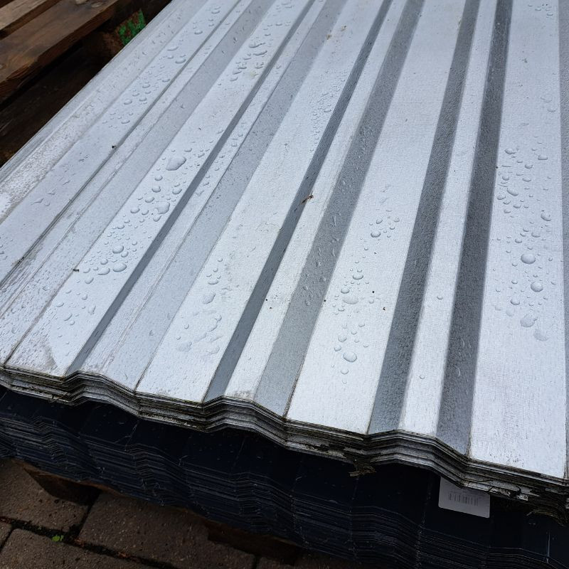 Trapezblech W-20 Mini Dachplatte von Friedrich von Lien AG aus Aluzink in Silber, Plattenlänge: 120 cm - Bild 1