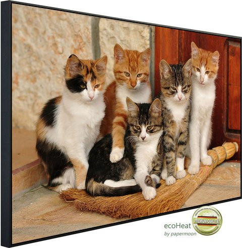 papermoon EcoHeat Infrarotheizung Süsse Katzen mit Matt-Effekt in Bunt, App-Steuerung und Überhitzungsschutz - Bild 1