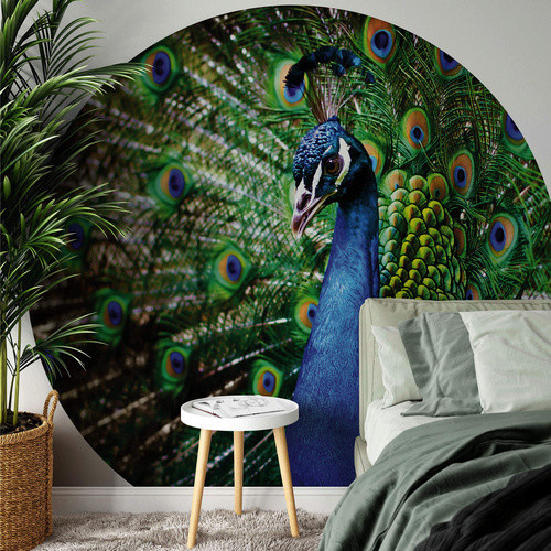 K&L Wall Art Vliestapete Runde Vliestapete Retro Pfau König der Vögel mehrfarbig matt B/H: 236 x 236 cm - Bild 3