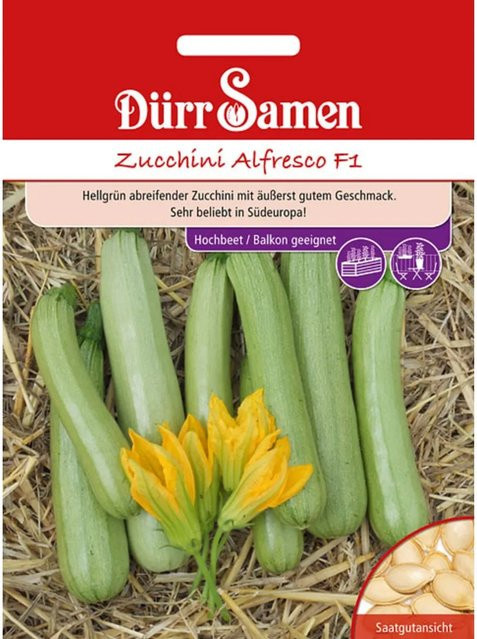 Dürr Zucchini Alfresco F1 Saatgut - Bild 1