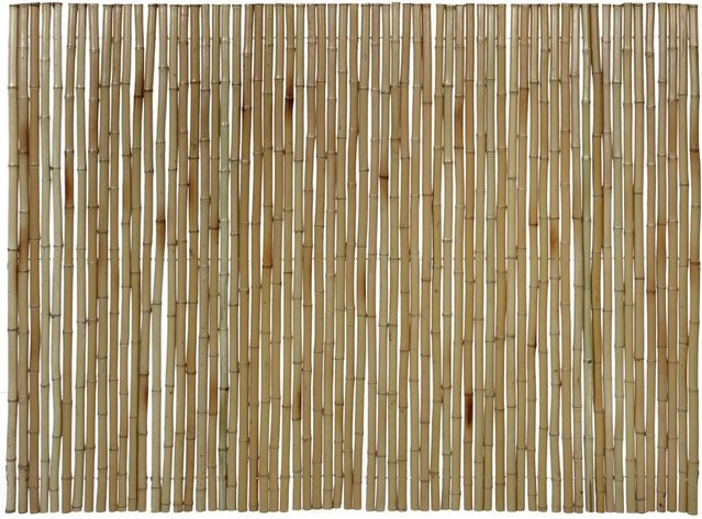 Floraworld Sichtschutz Bambusmatte Gala in Beige, B: 90 cm, L: 300 cm - Bild 1