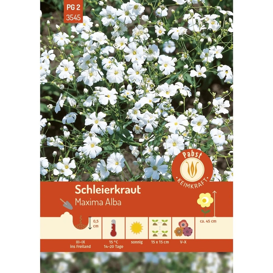 Pabst Keimkraft Schleierkraut Maxima Alba Saatgut für Rabatten, Beete und Blumensträuße - Bild 2