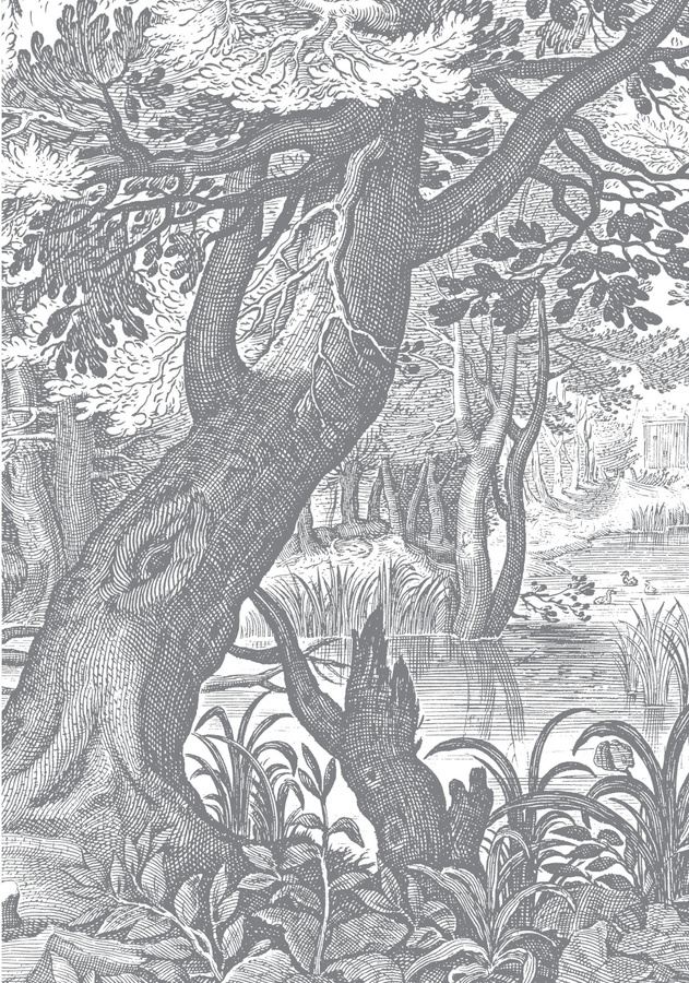 KEK Amsterdam Mural Engraved Landscapes Wandbild in Schwarz Weiß Grau, Breite: 194,8 cm - Bild 1