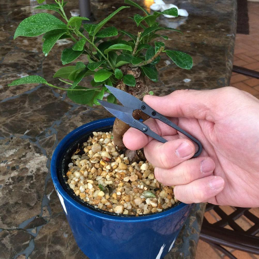 Igeteck Bonsai-Gartenschere aus Stahl und Kunststoff in Schwarz für Knospen und Blätter - Bild 5