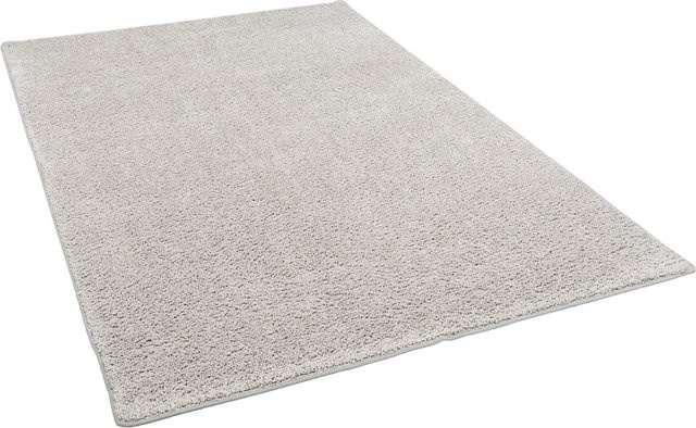 Snapstyle Hochflor Velours Teppich Mona Silbergrau B: 80 cm, L: 160 cm - Bild 1