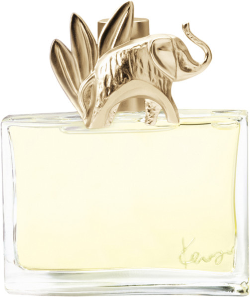 Kenzo Jungle Eau de Parfum Spray - Bild 1