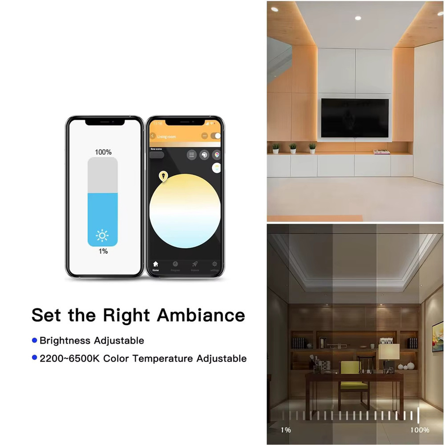 CENFAYA Tuya Zigbee 2-Kanal LED-Controller für 12V 24V COB CCT WW CW LED-Streifen mit 4-Zonen RF 2.4G Dimm-Fernbedienung, kompatibel mit Alexa und Google Assistant, Farbe: Weiß - Bild 2