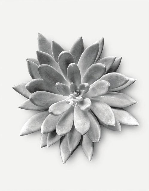 Komar Wandbild Succulent Agave B: 40 cm, H: 50 cm - Bild 1