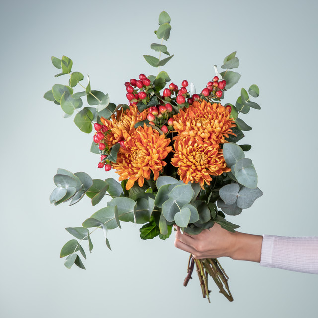 BLUME2000 Chrysanthementraum Chrysanthemen Herbst orange red - Bild 1