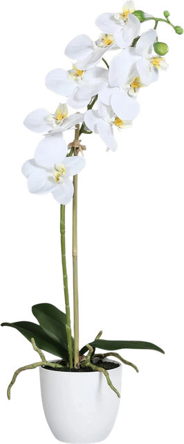 Künstliche Orchidee Luca von Aplanta, Tischdekoration, Höhe: 54 cm - Bild 1