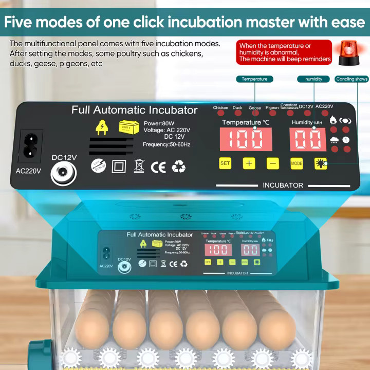 Lpnove Vollautomatischer Brutapparat für 36 Eier mit 4 Schlupfmodi, automatischer Wendung und Temperaturregelung, Duale Stromversorgung 220V/12V, Mini Geflügel-Brutmaschine für Hühner und Enten - Bild 5
