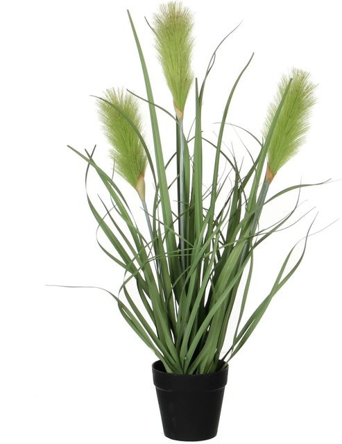 Kunstpflanze Ried Gras Grün von Mica Decorations im Topf, Höhe: 53 cm, Durchmesser: 30 cm, Topf-Durchmesser: 10 cm - Bild 1