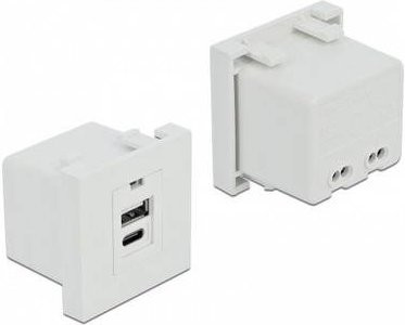 Delock 81313 Erweiterungsmodul in Weiß mit USB-A und USB-C Anschlüssen - Bild 1