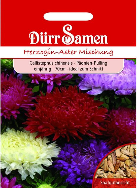 Dürr Herzogin-Aster Prachtmischung Einjähriges Saatgut für Beete und Rabatten, 250 g - Bild 1