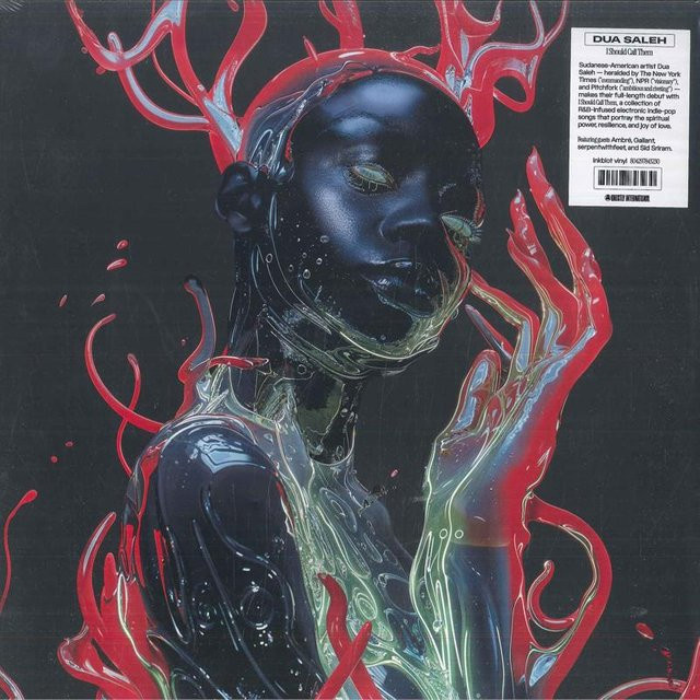 Dua Saleh - I Should Call Them LP Schallplatte auf Ghostly International (2024, Electronic, Grau/Mehrfarbig) - Bild 1
