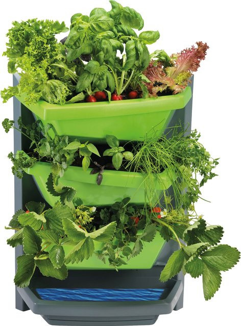 Juwel Vertical-Garden Grundelement für Kräuter in Limette - Bild 1