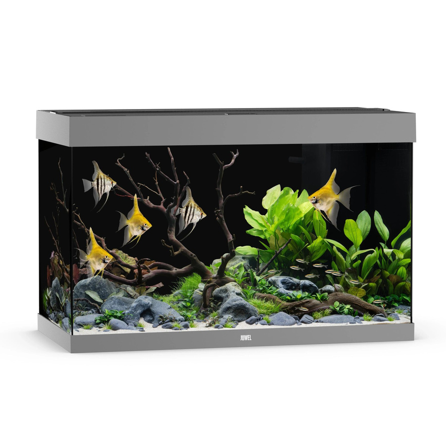 Juwel Aquarium Rio 290 LED Grau - Bild 2